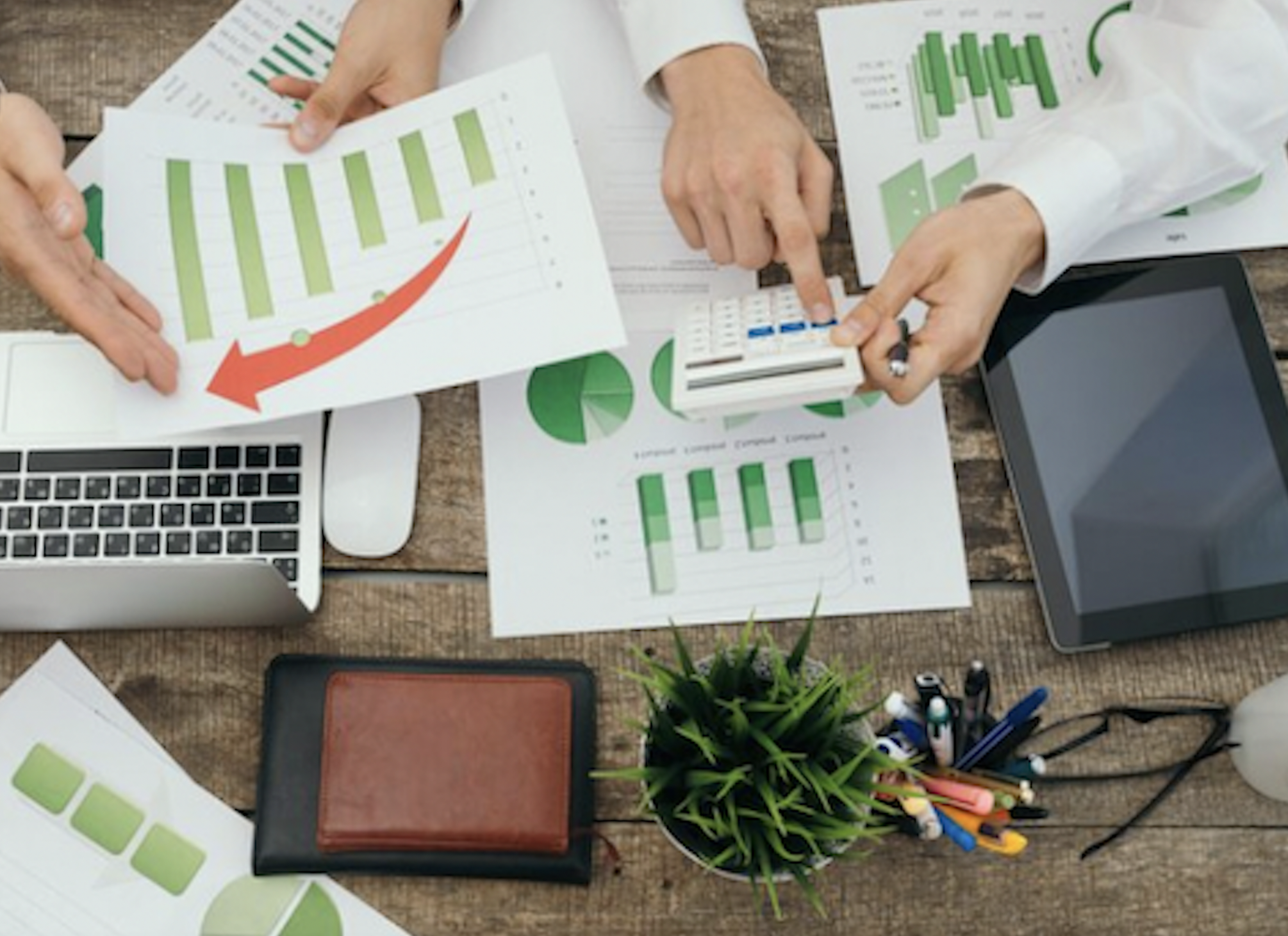 Whitespace Strategy The Smart Path to Sustainable Revenue Growth